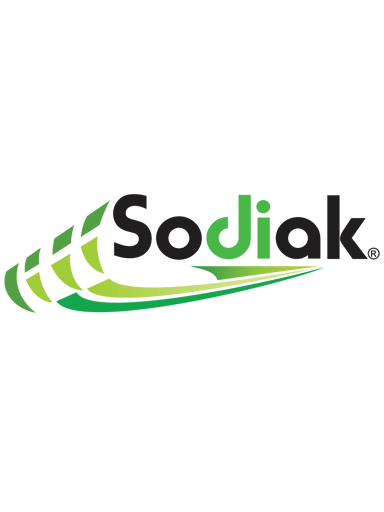 Logo DEAQ