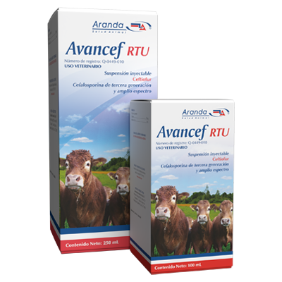 AVANCEF RTU Suspensión inyectable