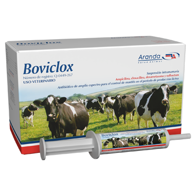 BOVICLOX Suspensión intramamaria