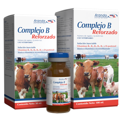 COMPLEJO B REFORZADO Sol. inyectable