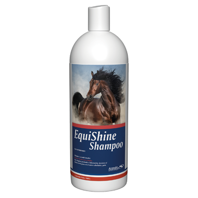EQUISHINE SHAMPOO Shampoo y acondicionador