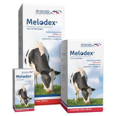 MELODEX PETS 0.5% Solución inyectable