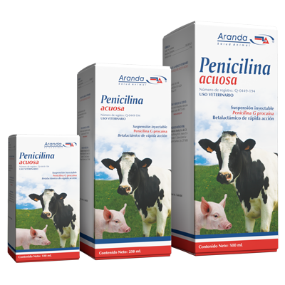 PENICILINA ACUOSA Solución inyectable