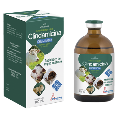 CLINDAMICINA CHEMINOVA Sol. inyectable