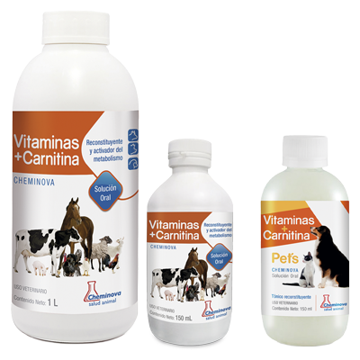 VITAMINAS + CARNITINA Oral
