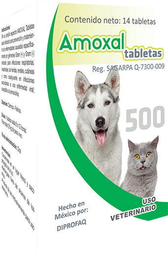 AMOXAL TABLETAS Tabletas masticables