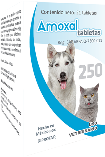AMOXAL TABLETAS Tabletas masticables