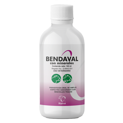 BENDAVAL CON MINERALES Suspensión oral