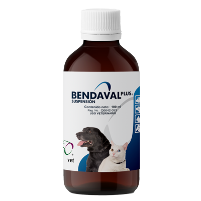 BENDAVAL PLUS SUSPENSIÓN Suspensión oral