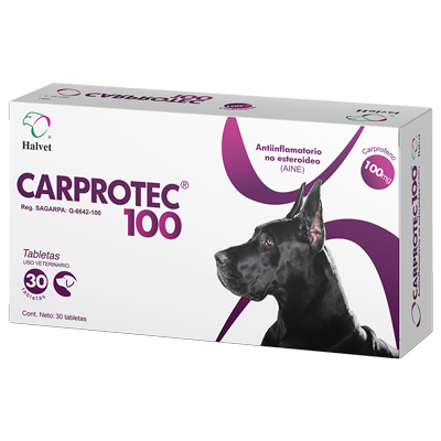 CARPROTEC 100 Tabletas