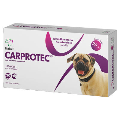 CARPROTEC Tabletas