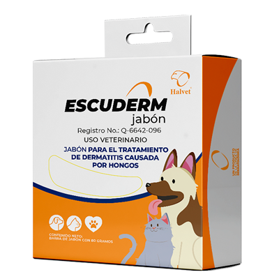 ESCUDERM JABÓN Jabón
