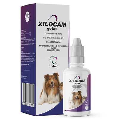 XILOCAM GOTAS Solución oral