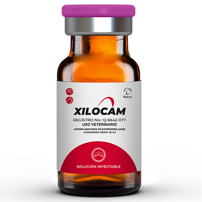 XILOCAM Sol. inyectable