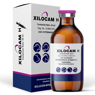 XILOCAM H Sol. inyectable