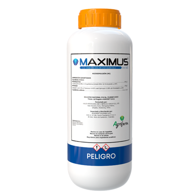 MAXIMUS 140 ME