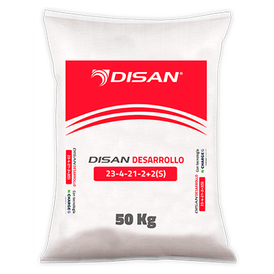 DISAN DESARROLLO 23-4-21