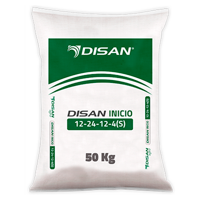 DISAN INICIO 12-27-13-2+1(S)