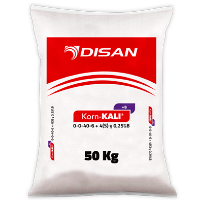 KORN-KALI +B
