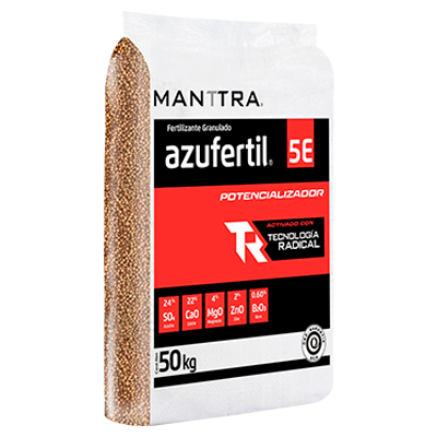 AZUFERTIL 5E