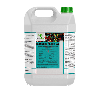 MANVERT AMIN 24
