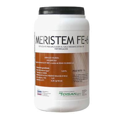 MERISTEM FE-6