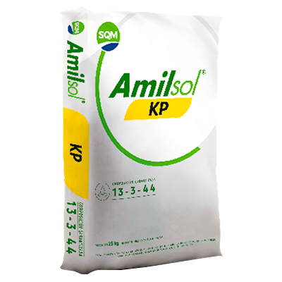 AMILSOL KP