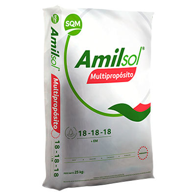 AMILSOL MULTIPROPOSITO 18- 18-18+EM