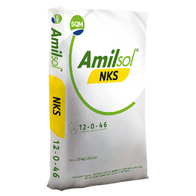 AMILSOL NKS