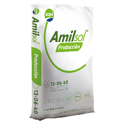 AMILSOL PRODUCCIÓN 13-06- 40