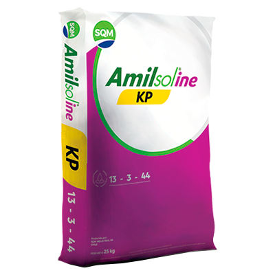 AMILSOLINE KP