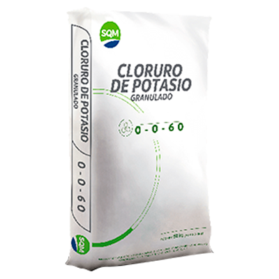 CLORURO DE POTASIO GRANULAR