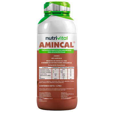 AMINCAL