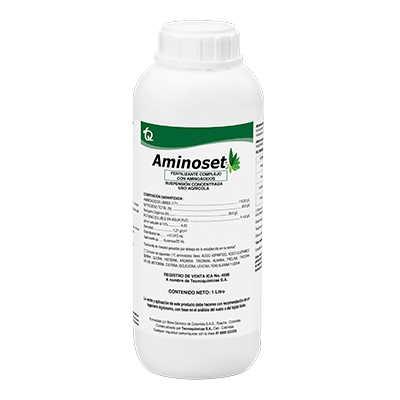 AMINOSET