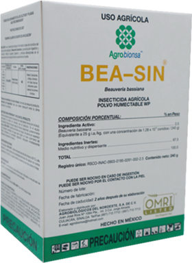 BEA-SIN WP