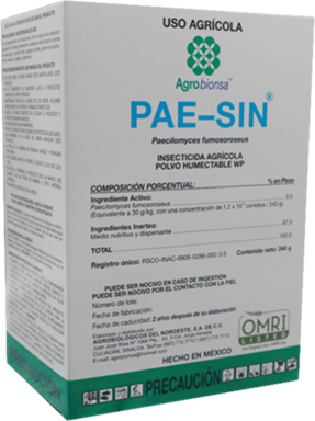 PAE-SIN WP