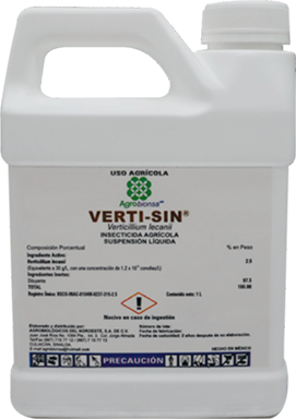 VERTI-SIN