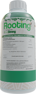 ROOTING ADSTRONG