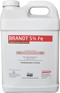 BRANDT 5% Fe