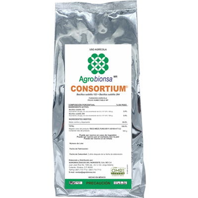 CONSORTIUM
