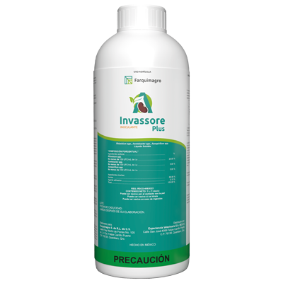 INVASSORE PLUS