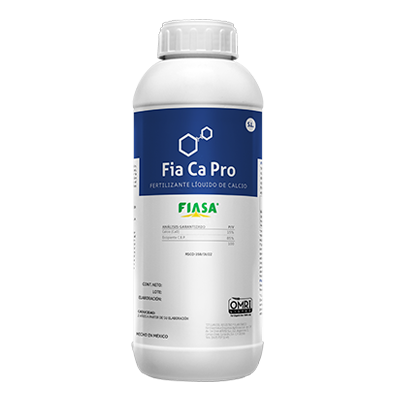 FIA Ca Pro