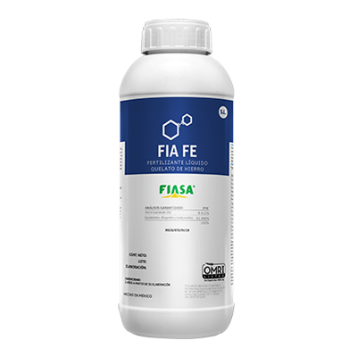 FIA FE