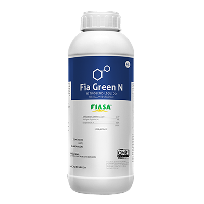 FIA GREEN N