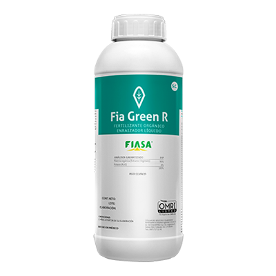 FIA GREEN R