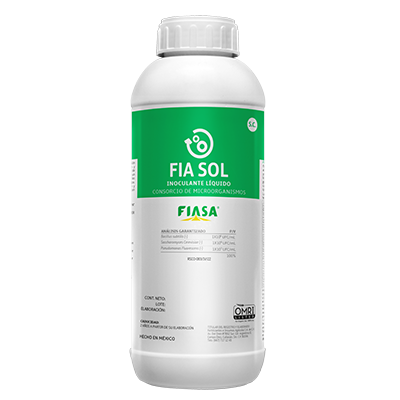 FIA SOL