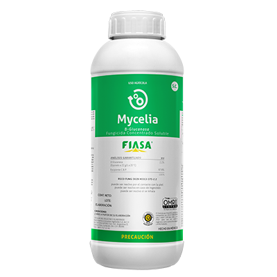 MYCELIA