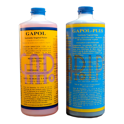 GAPOL/GAPOL-PLUS