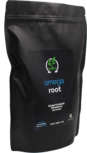 OMEGA ROOT