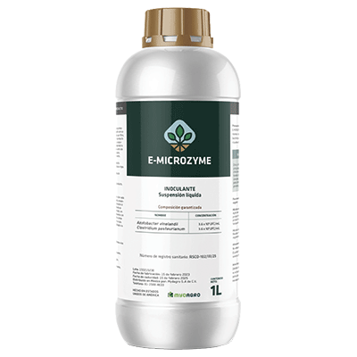E-MICROZYME